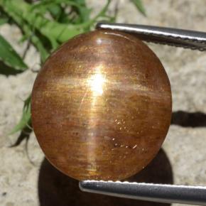 12.29캐럿 천연 골든 브라운 스타 썬스톤, 타원형 컷, 불투명체