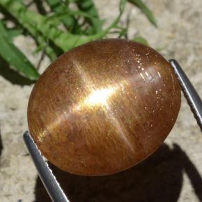 12.29캐럿 천연 골든 브라운 스타 썬스톤, 타원형 컷, 불투명체