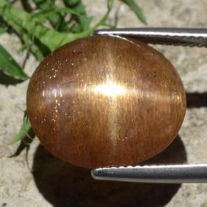 12.29캐럿 천연 골든 브라운 스타 썬스톤, 타원형 컷, 불투명체