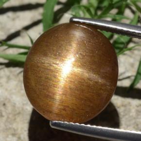 12.58캐럿 천연 골든 브라운 스타 썬스톤, 타원형 컷, 불투명체