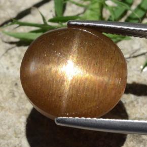 12.58캐럿 천연 골든 브라운 스타 썬스톤, 타원형 컷, 불투명체