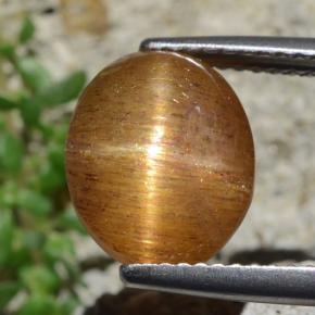 4.53캐럿 천연 골든 브라운 스타 썬스톤, 타원형 컷, 불투명체