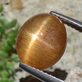 4.53캐럿 천연 골든 브라운 스타 썬스톤, 타원형 컷, 불투명체