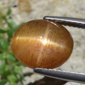 4.53캐럿 천연 골든 브라운 스타 썬스톤, 타원형 컷, 불투명체