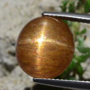 8.30캐럿 천연 골든 브라운 스타 썬스톤, 타원형 컷, 불투명체