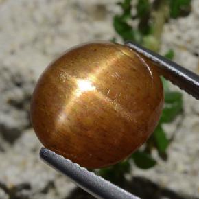 8.30캐럿 천연 골든 브라운 스타 썬스톤, 타원형 컷, 불투명체