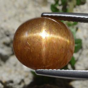 8.30캐럿 천연 골든 브라운 스타 썬스톤, 타원형 컷, 불투명체