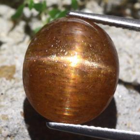 9.36캐럿 천연 캐러멜 브라운 스타 선스톤, 타원형 컷, 13.7×12.1 mm, 불투명체