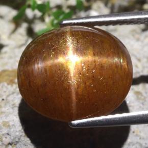 9.36캐럿 천연 캐러멜 브라운 스타 선스톤, 타원형 컷, 13.7×12.1 mm, 불투명체