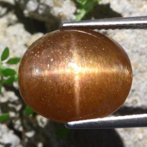 9.51캐럿 천연 골든 브라운 스타 썬스톤, 타원형 컷, 불투명체