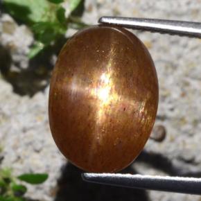6.29캐럿 천연 골든 브라운 스타 선스톤, 타원형 컷, 13.4×9.6 mm, 불투명체