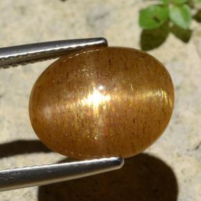 6.61캐럿 천연 골든 브라운 스타 썬스톤, 타원형 컷, 불투명체