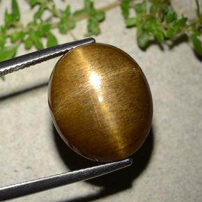 16.93캐럿 천연 골든 브라운 스타 썬스톤, 타원형 컷, 불투명체