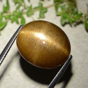 16.93캐럿 천연 골든 브라운 스타 썬스톤, 타원형 컷, 불투명체