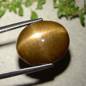 16.93캐럿 천연 골든 브라운 스타 썬스톤, 타원형 컷, 불투명체