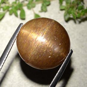 15.15캐럿 천연 골든 브라운 스타 썬스톤, 라운드 컷, 불투명체