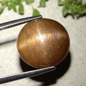 15.15캐럿 천연 골든 브라운 스타 썬스톤, 라운드 컷, 불투명체