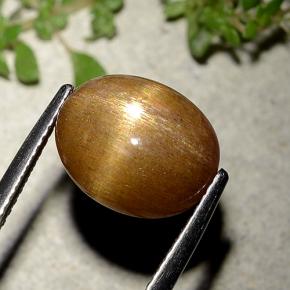 6.21캐럿 천연 골든 브라운 스타 썬스톤, 타원형 컷, 불투명체