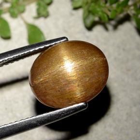 6.21캐럿 천연 골든 브라운 스타 썬스톤, 타원형 컷, 불투명체