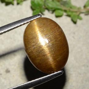 7.67캐럿 천연 골든 브라운 스타 썬스톤, 타원형 컷, 불투명체