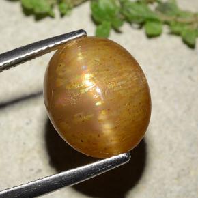 8.25캐럿 천연 골든 브라운 스타 선스톤, 타원형 컷, 13.5×11 mm, 불투명체