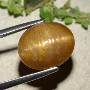 8.25캐럿 천연 골든 브라운 스타 선스톤, 타원형 컷, 13.5×11 mm, 불투명체