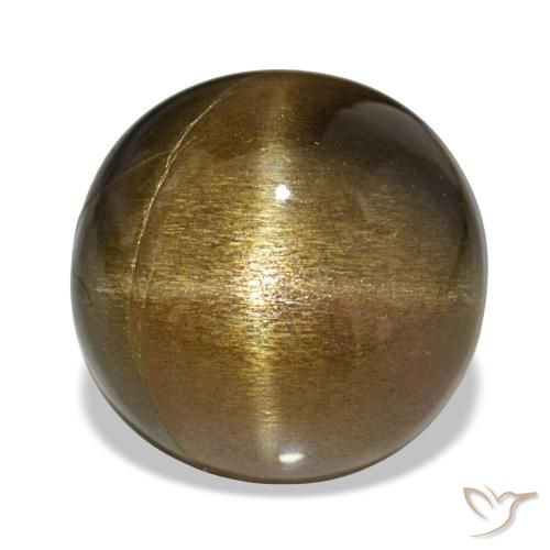 11.00ct 골든 브라운 스타 썬스톤, 타원형, 불투명체