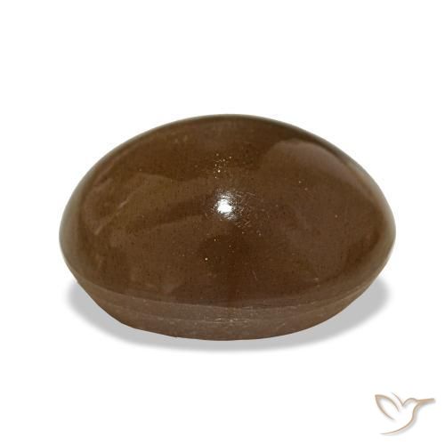 15.77캐럿 천연 웜 브라운 스타 썬스톤, 타원형 컷, 불투명체