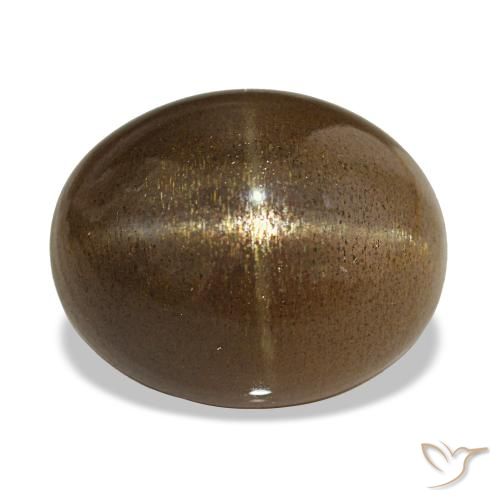 13.92ct 커피브라운 스타 썬스톤, 타원형, 불투명체