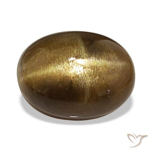 13.39캐럿 천연 미디엄 브라운 스타 썬스톤, 타원형 컷, 불투명체