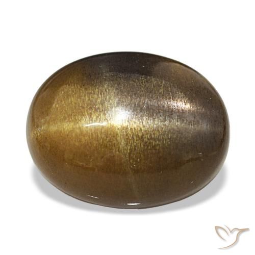 10.87캐럿 천연 미디엄 브라운 스타 썬스톤, 타원형 컷, 불투명체