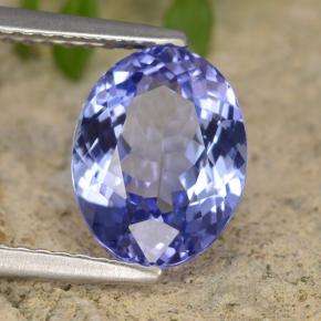 2.45캐럿 천연 바이올렛 블루 탄자나이트, 타원형 컷, 9.5×7.5 mm, VVS-VS
