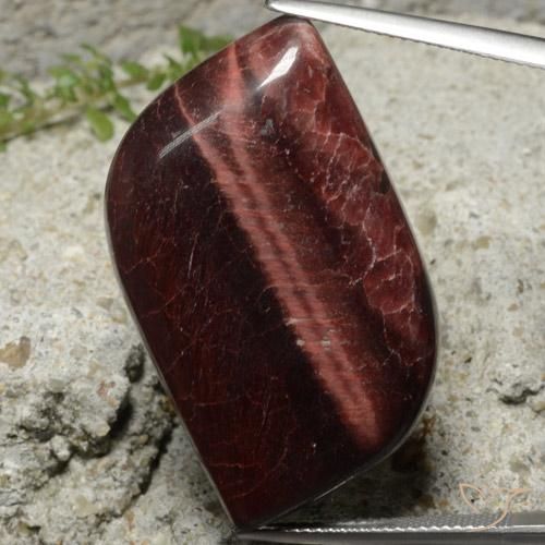49.22ct 자연스러운 갈색 호랑이 눈 매트릭스, 팬시한, 불투명체