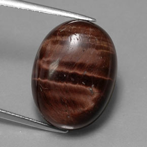 21.49캐럿 천연 멀티컬러 Tiger's Eye Matrix, 타원형 컷, 20.4×15.3 mm, 불투명체