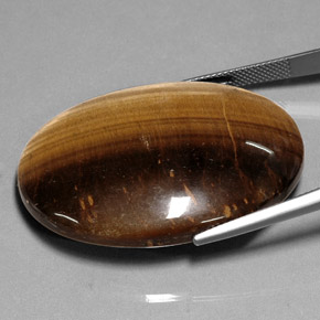 75.05캐럿 천연 골드 브라운 Tiger's Eye, 타원형 컷, 40.1×30 mm, 불투명체
