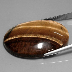 75.54캐럿 천연 골드 브라운 호랑이의 눈, 타원형 컷, 불투명체