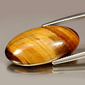14.67캐럿 천연 골드 브라운 호랑이의 눈, 타원형 컷, 불투명체