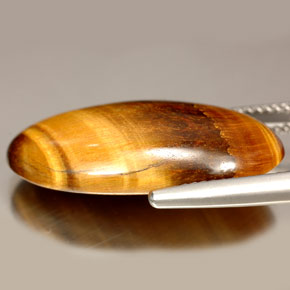 14.67캐럿 천연 골드 브라운 호랑이의 눈, 타원형 컷, 불투명체