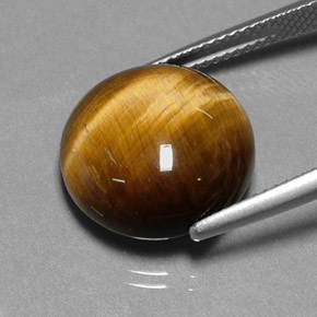 11.12캐럿 천연 골드 브라운 Tiger's Eye, 라운드 컷, 14.88 mm, 불투명체