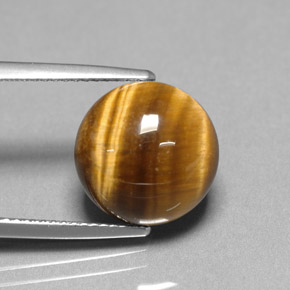 6.69캐럿 천연 골드 브라운 Tiger's Eye, 라운드 컷, 12.07 mm, 불투명체