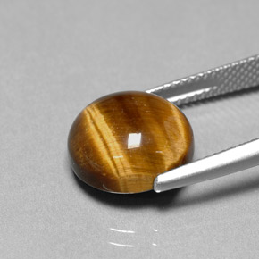 6.69캐럿 천연 골드 브라운 Tiger's Eye, 라운드 컷, 12.07 mm, 불투명체