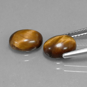 1.59캐럿 천연 골드 브라운 Tiger's Eye, 타원형 컷, 8.7×6.8 mm, 불투명체