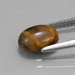 1.55캐럿 천연 골드 브라운 Tiger's Eye, 타원형 컷, 8.8×6.8 mm, 불투명체