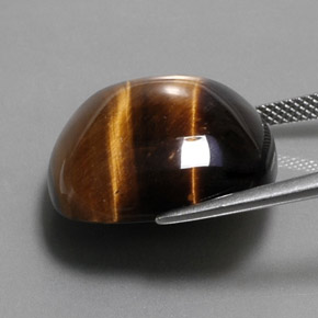 27.92캐럿 천연 골드 브라운 호랑이의 눈, 쿠션 컷, 불투명체