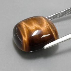 13.79캐럿 천연 골드 브라운 Tiger's Eye, 쿠션 컷, 15.1×15.1 mm, 불투명체