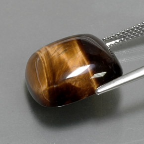 13.05캐럿 천연 골드 브라운 호랑이의 눈, 쿠션 컷, 불투명체