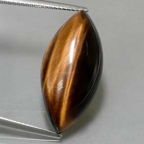12.99캐럿 천연 골드 브라운 Tiger's Eye, 마퀴즈, 24.8×12 mm, 불투명체