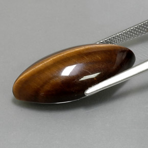 12.55캐럿 천연 골드 브라운 Tiger's Eye, 마퀴즈, 24.4×11.8 mm, 불투명체