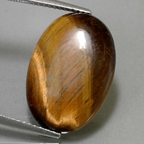 10.40캐럿 천연 골드 브라운 Tiger's Eye, 타원형 컷, 19.5×13.7 mm, 불투명체