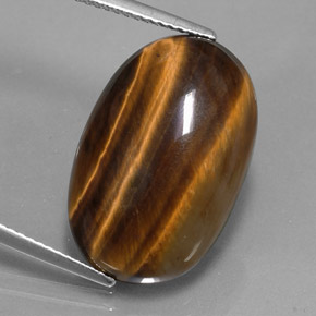 14.42캐럿 천연 골드 브라운 Tiger's Eye, 타원형 컷, 21.1×13.8 mm, 불투명체